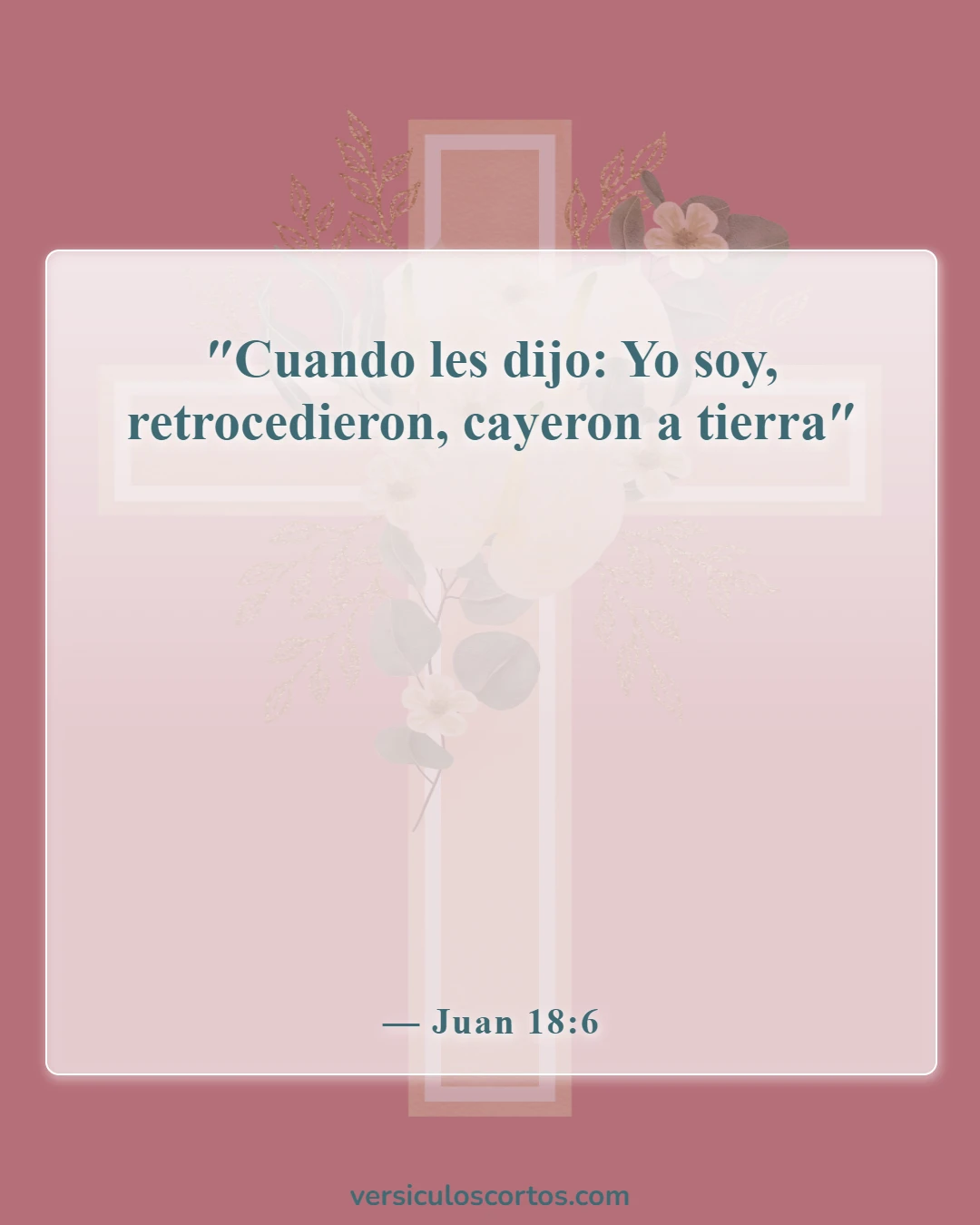 Versículos de la Biblia sobre Yo Soy (Juan 18:6)