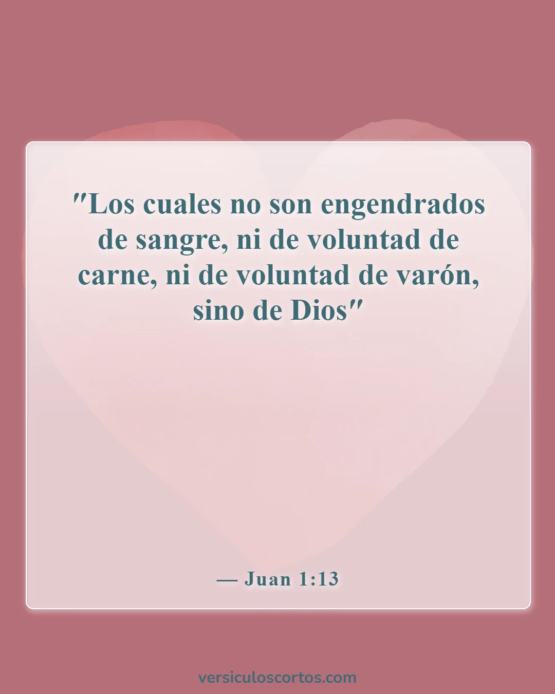 Versículos de la Biblia sobre la nueva creación (Juan 1:13)