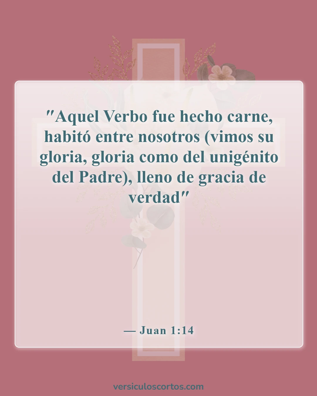 Versículos de la Biblia sobre Jesús como imagen de Dios (Juan 1:14)