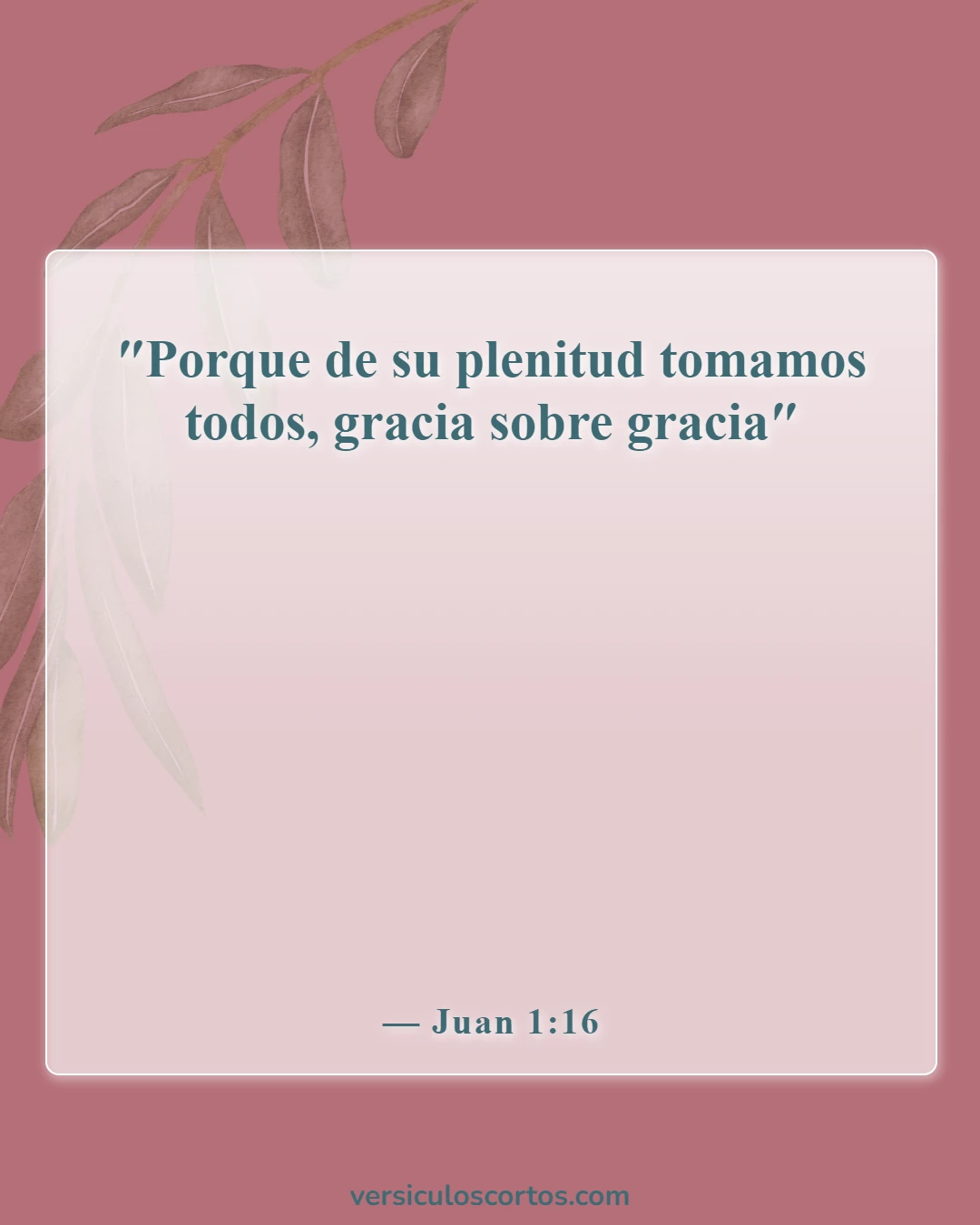 Versículos bíblicos sobre bendecir a alguien (Juan 1:16)