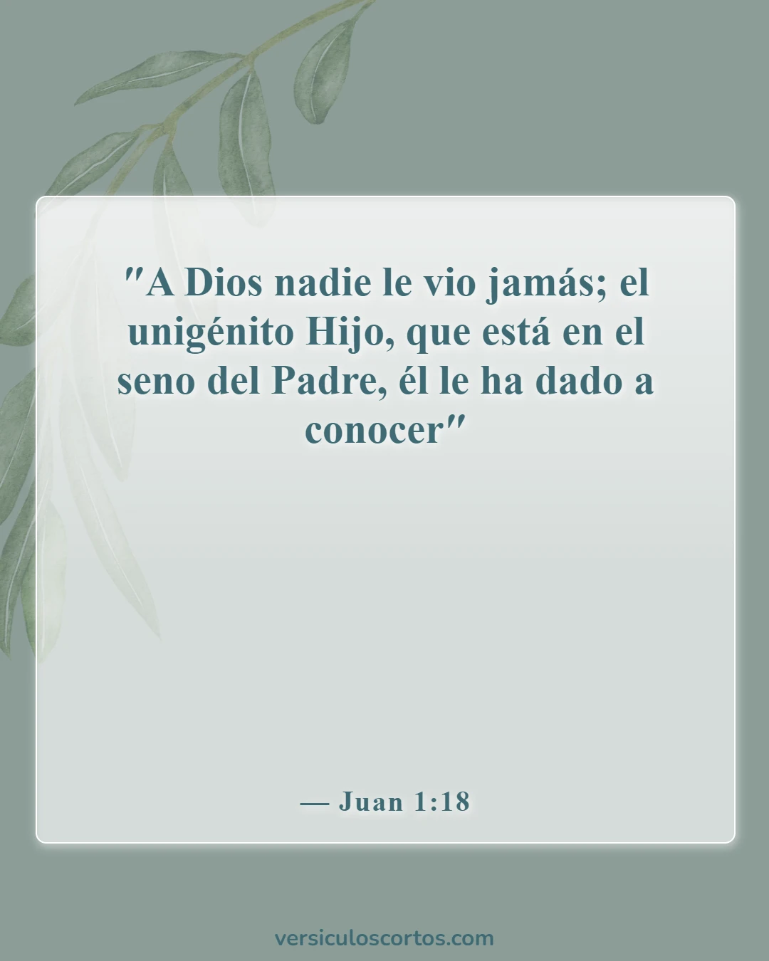 Versículos de la Biblia sobre Jesús como imagen de Dios (Juan 1:18)