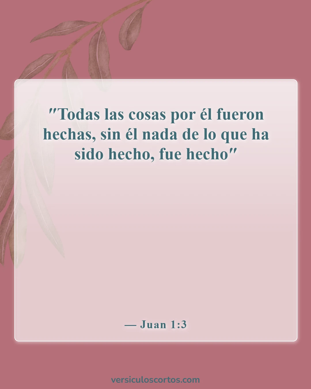 Versículos de la Biblia sobre Jesús como imagen de Dios (Juan 1:3)