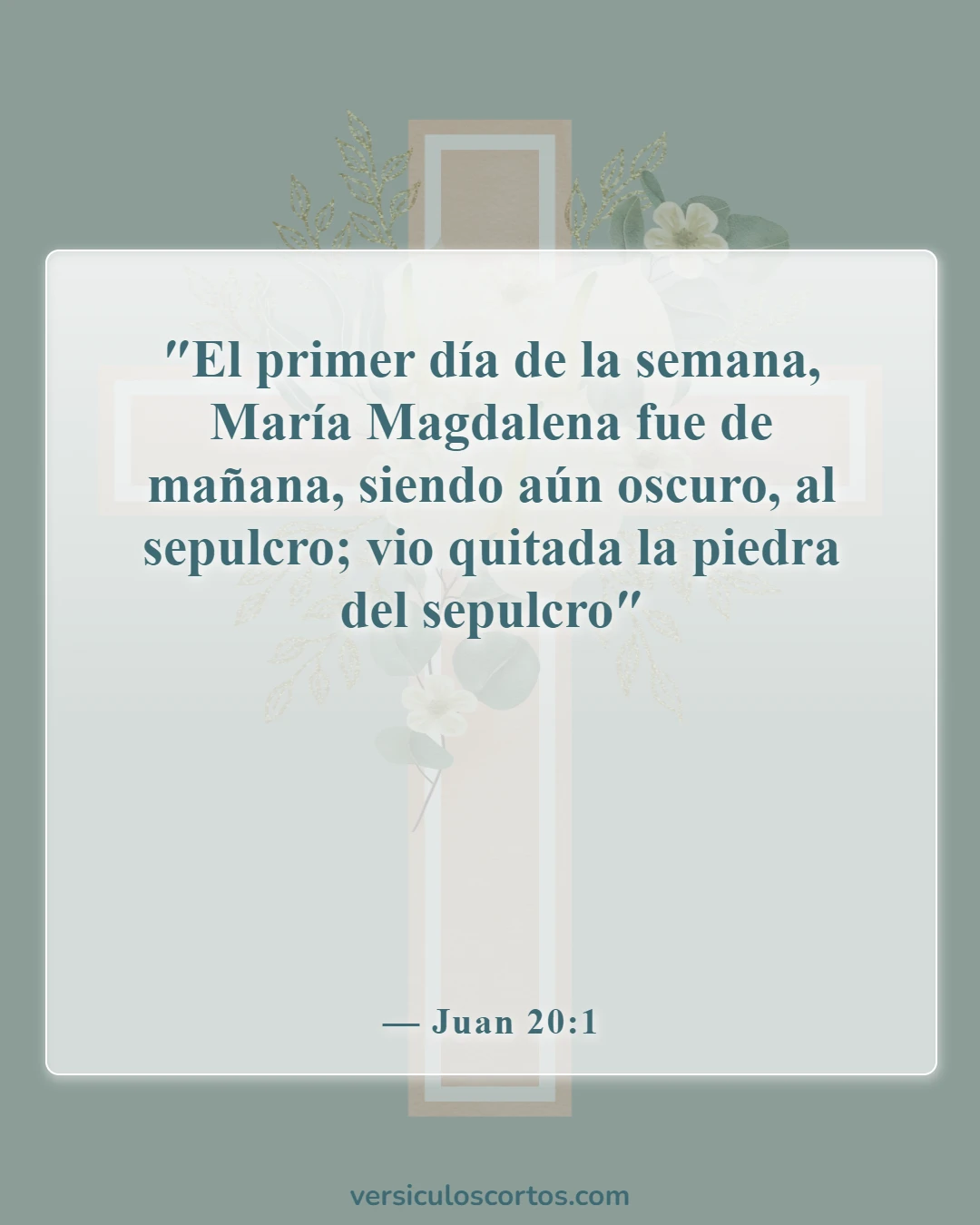 Versículos de la Biblia sobre la vida de Cristo (Juan 20:1)