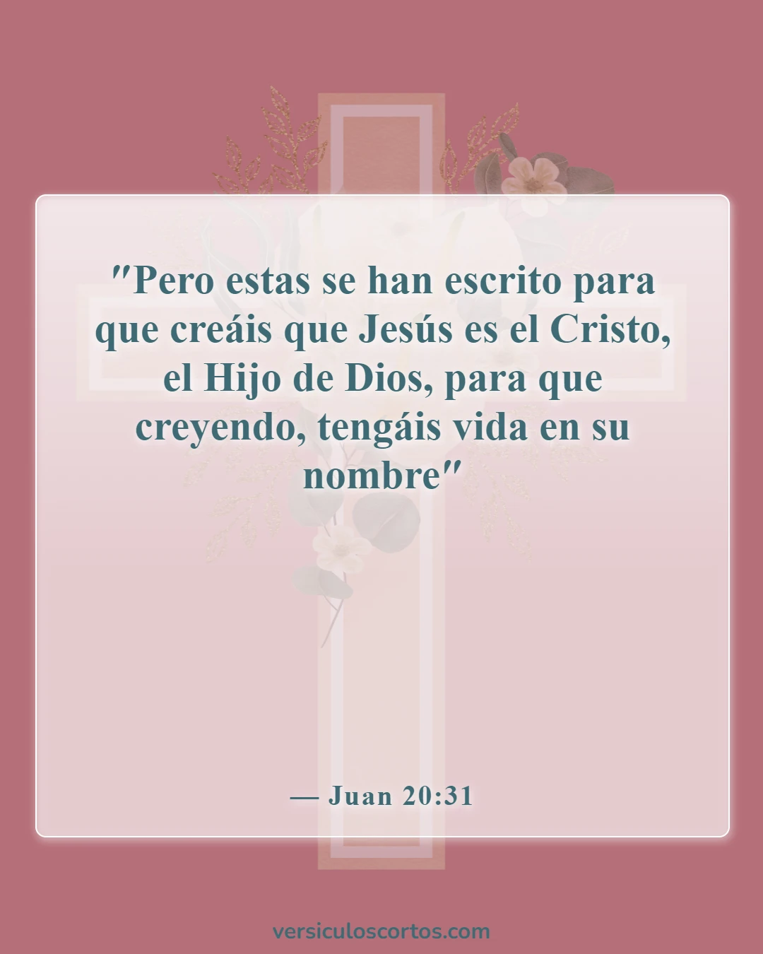 Versículos de la Biblia sobre Jesucristo (Juan 20:31)