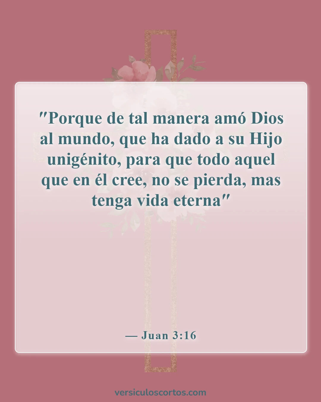 Versículos bíblicos sobre la salvación (Juan 3:16)