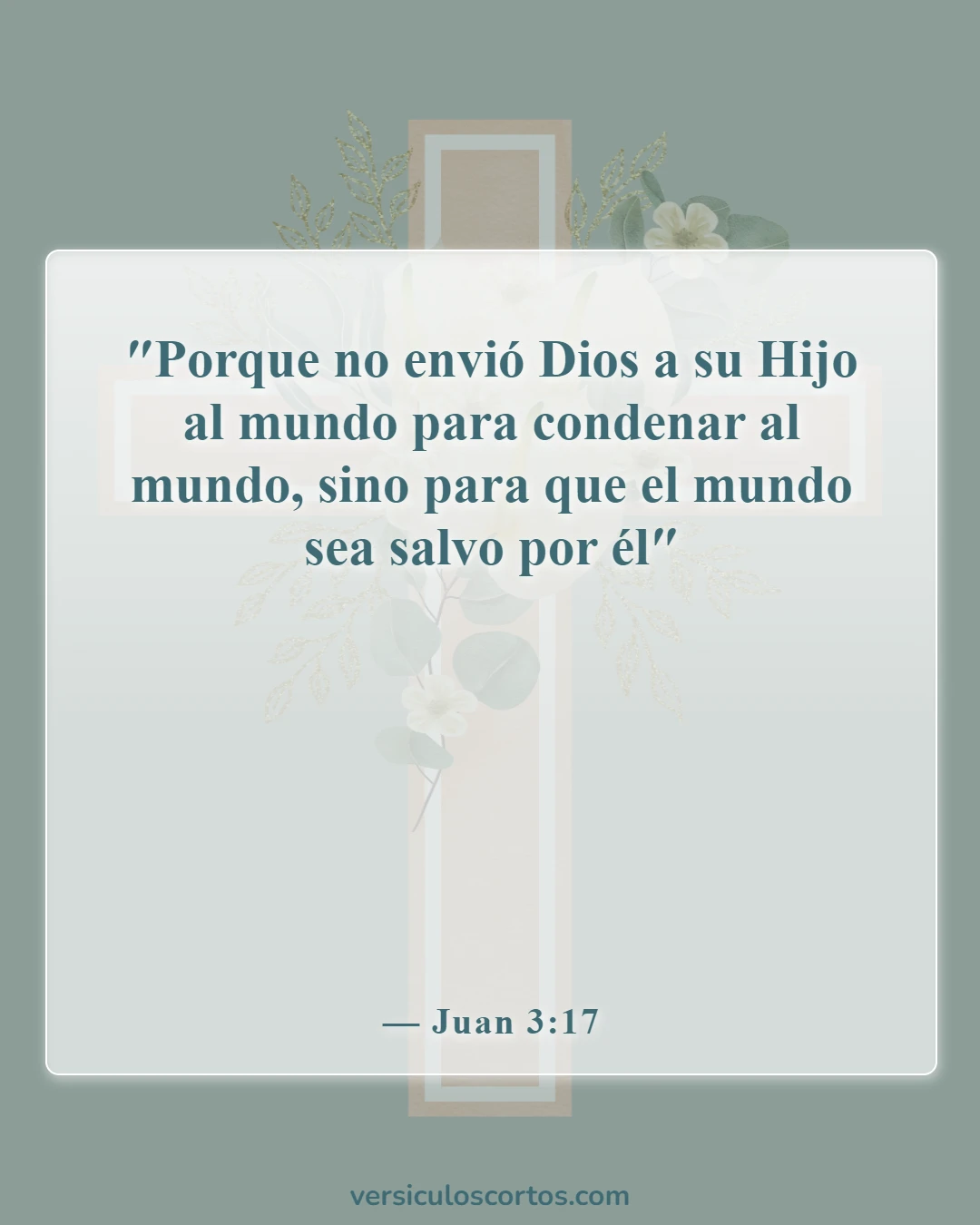 Versículos de la Biblia sobre Jesucristo (Juan 3:17)