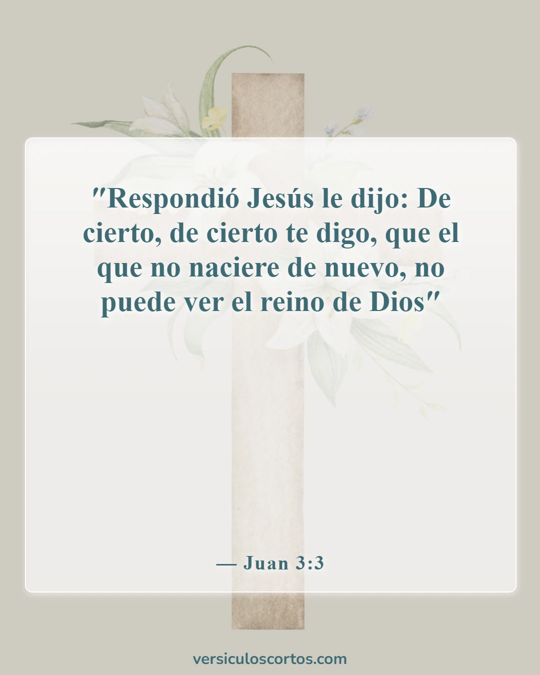 Versículos bíblicos sobre el nuevo nacimiento (Juan 3:3)