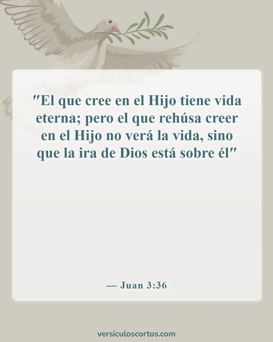 Versículos bíblicos sobre la salvación (Juan 3:36)