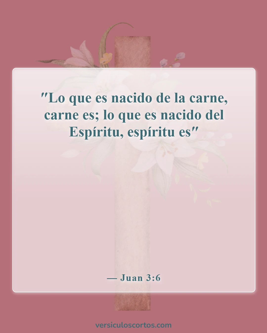 Versículos bíblicos sobre el nuevo nacimiento (Juan 3:6)