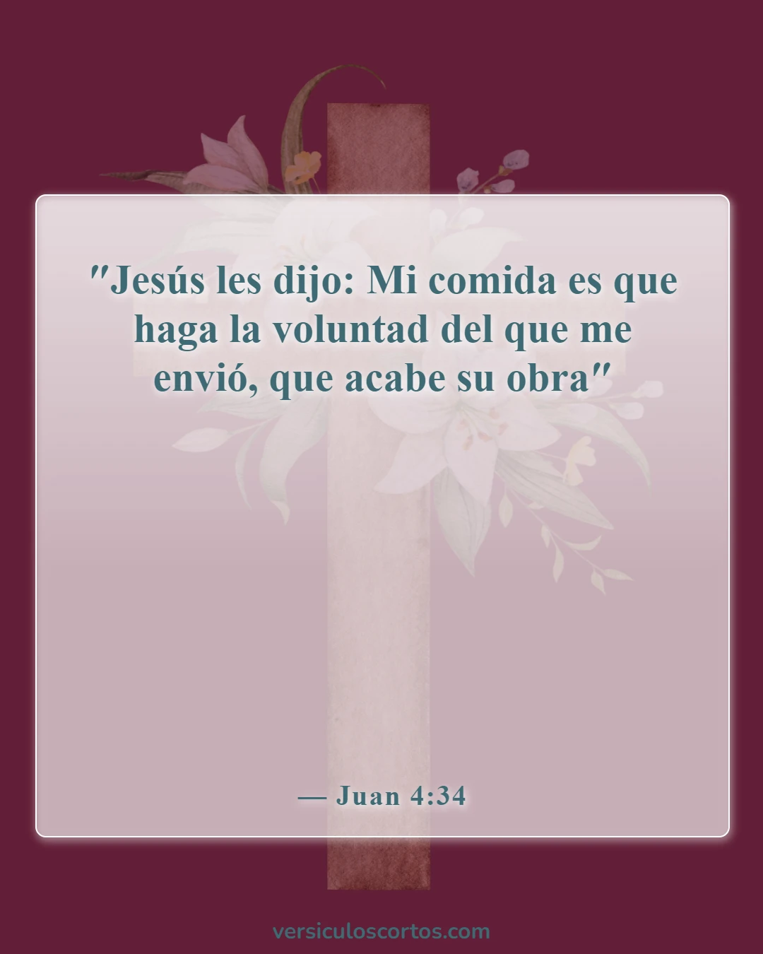 Versículos de la Biblia sobre obedecer la voluntad de Dios (Juan 4:34)