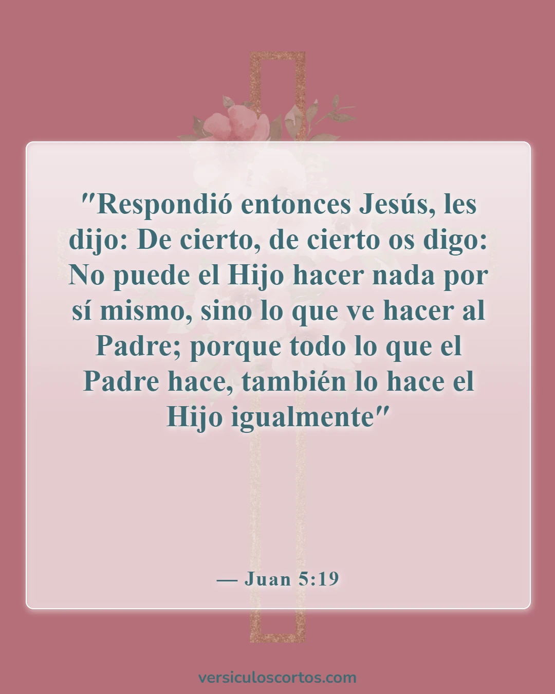 Versículos de la Biblia sobre Jesús como imagen de Dios (Juan 5:19)