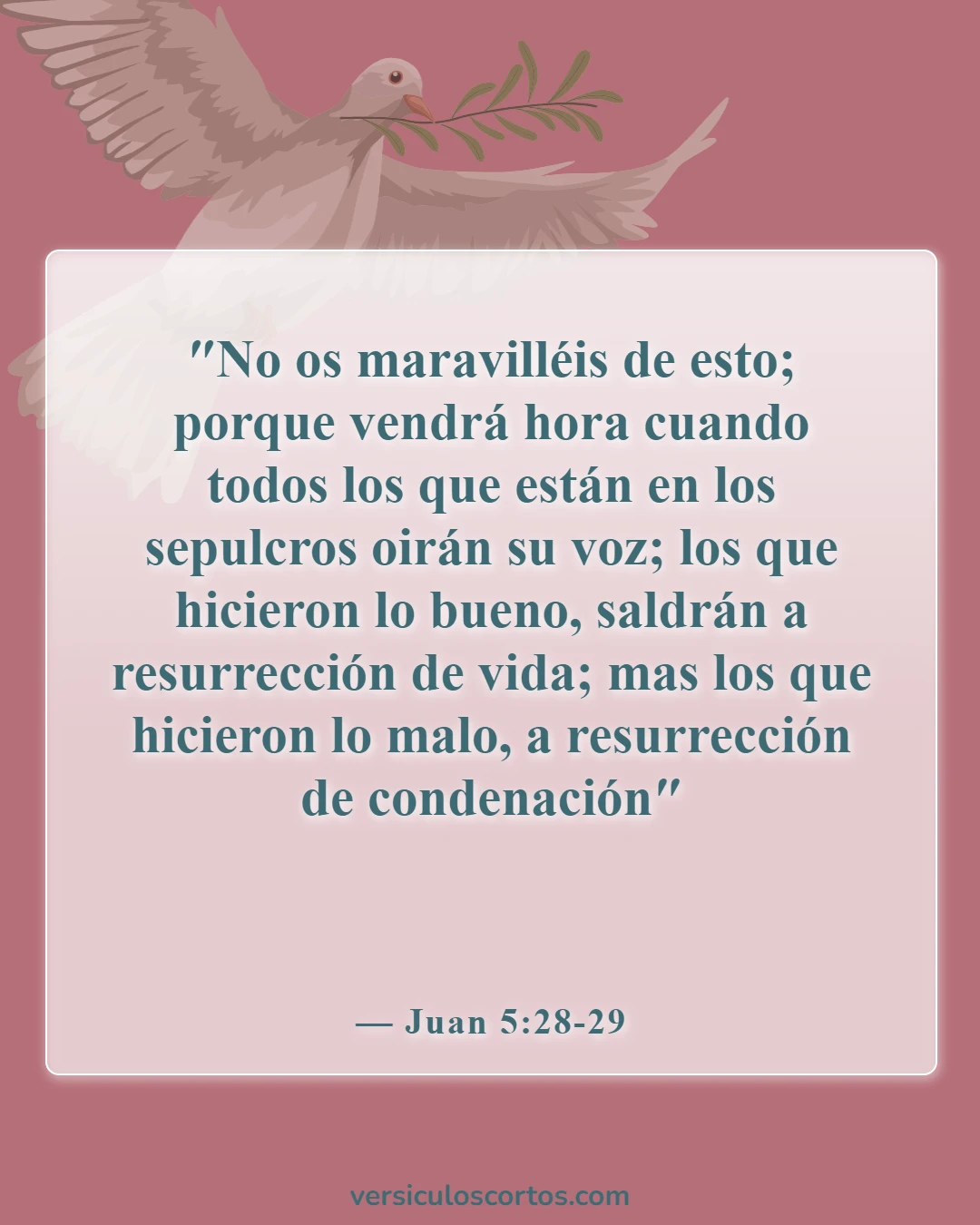 Versículos Bíblicos Sobre Cuerpos Glorificados (Juan 5:28-29)