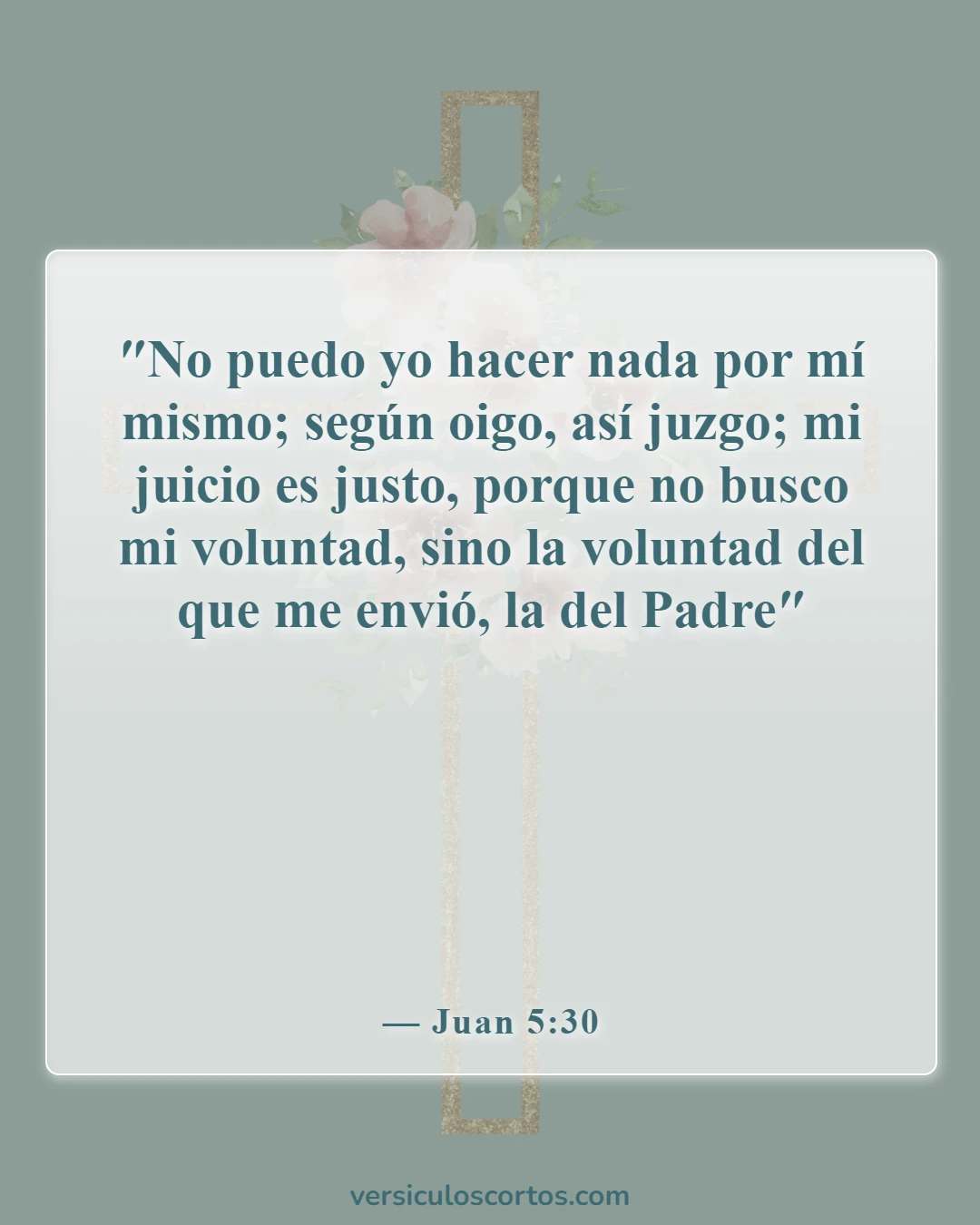 Versículos de la Biblia sobre Jesús como imagen de Dios (Juan 5:30)