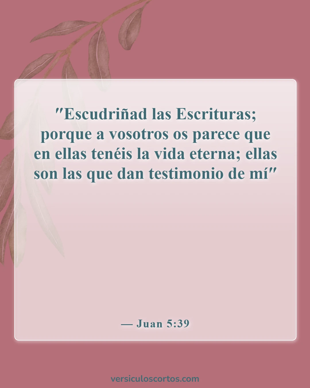 Versículos de la Biblia sobre leer la Palabra de Dios (Juan 5:39)