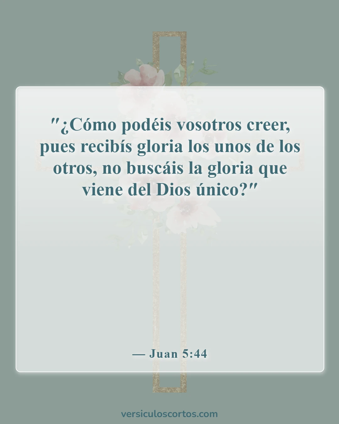 Versículos de la Biblia sobre seguir al hombre (Juan 5:44)