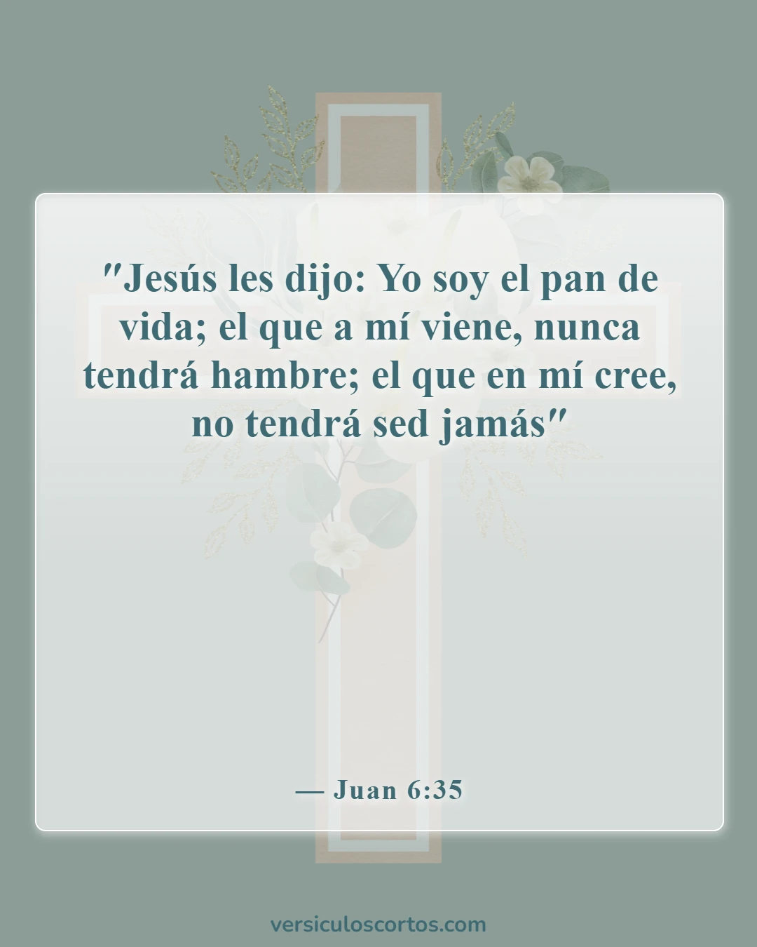 Versículos de la Biblia sobre Jesucristo (Juan 6:35)