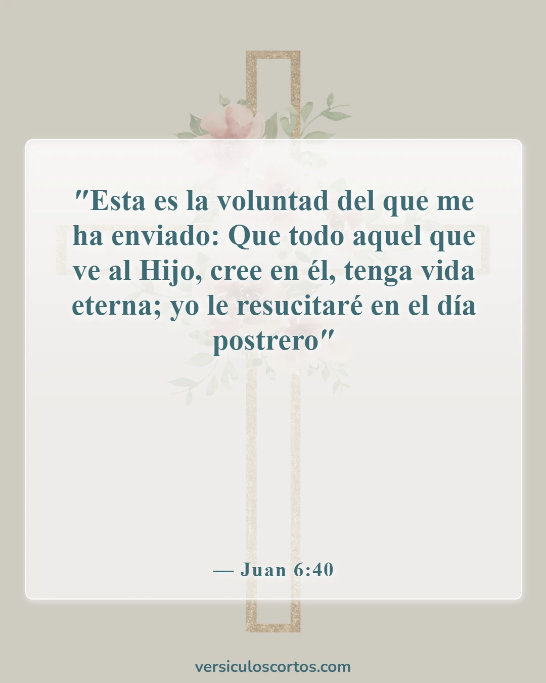 Versículos de la Biblia sobre Jesucristo (Juan 6:40)