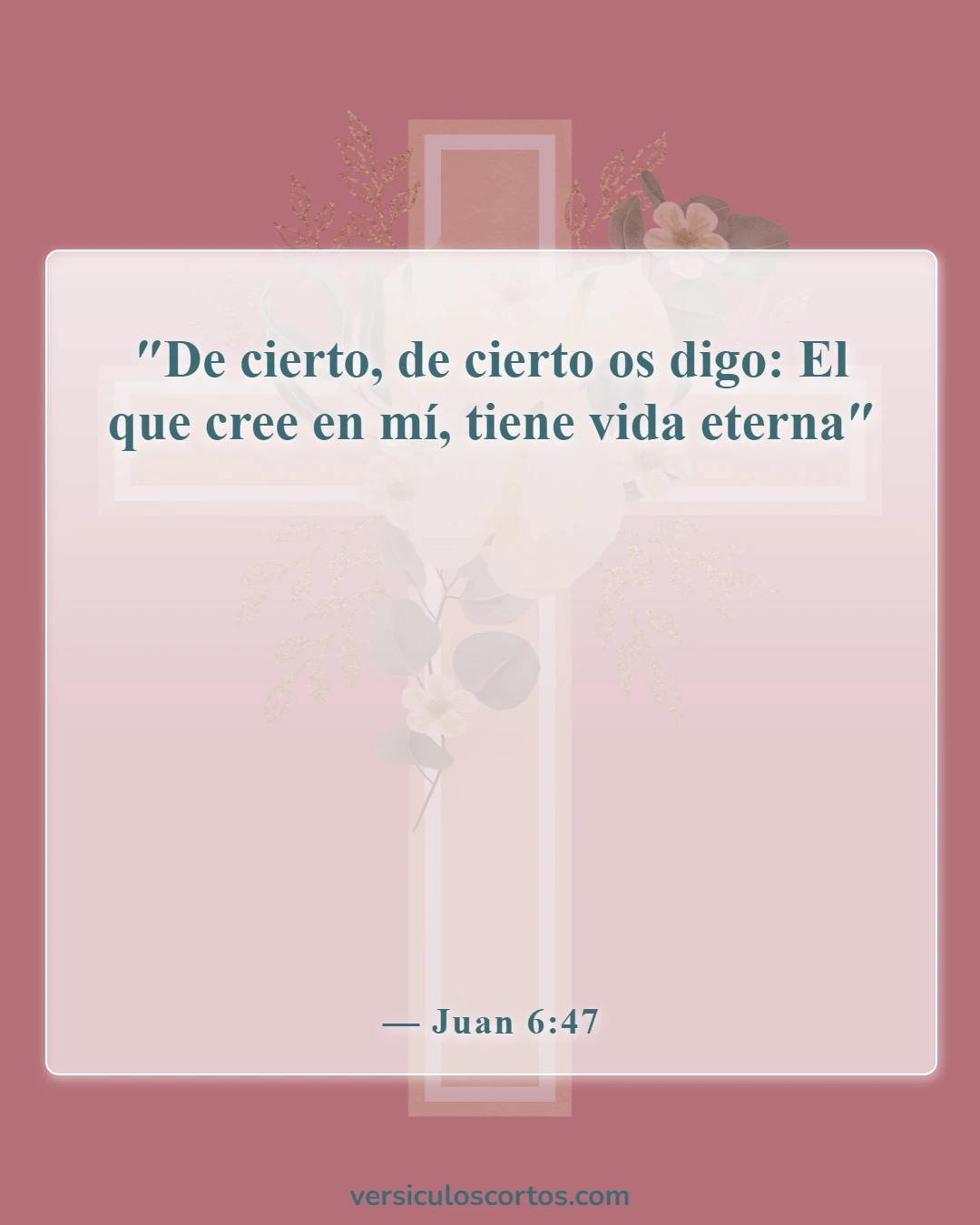 Versículos bíblicos sobre la salvación (Juan 6:47)