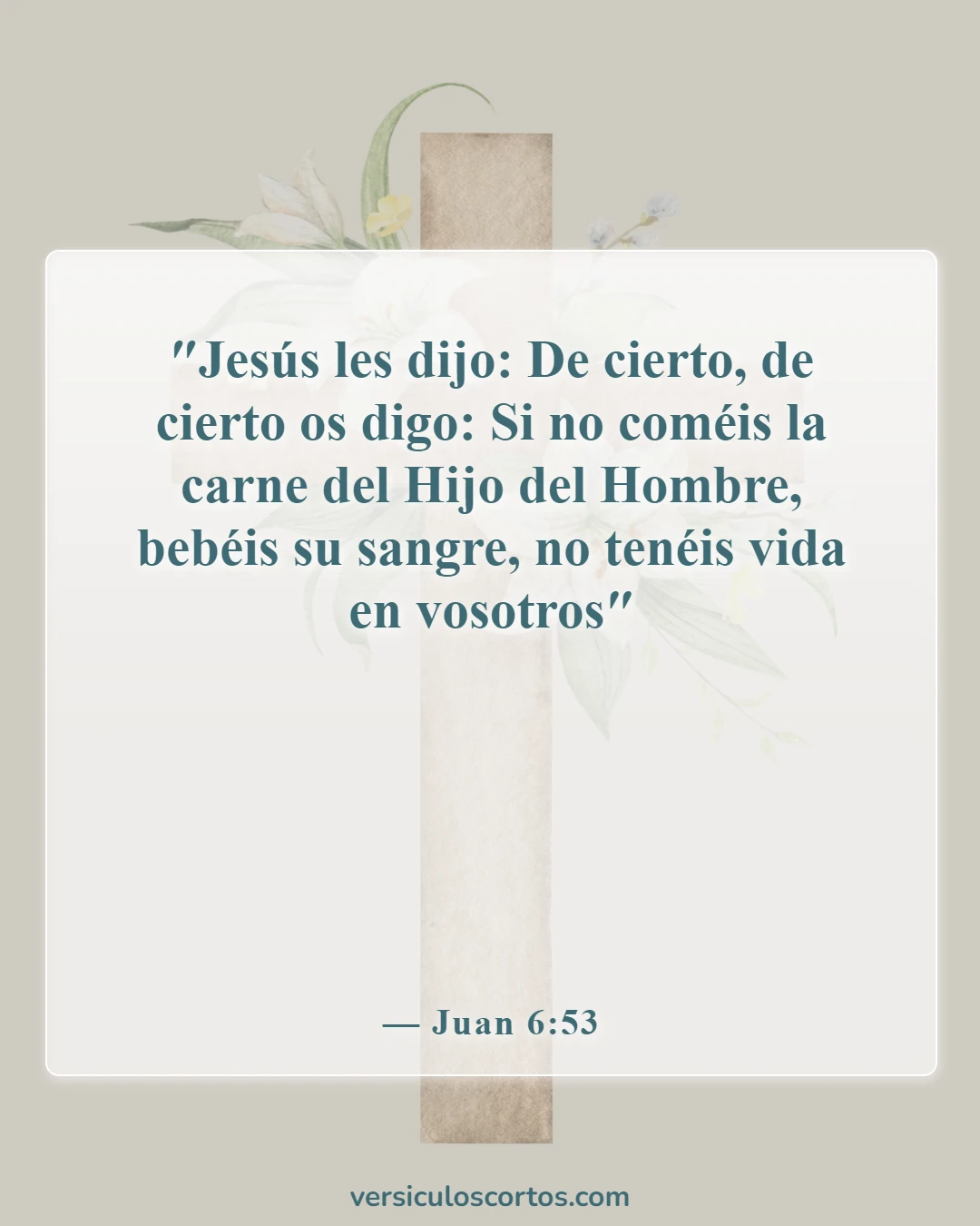 Versículos de la Biblia sobre la Sangre de Jesús (Juan 6:53)