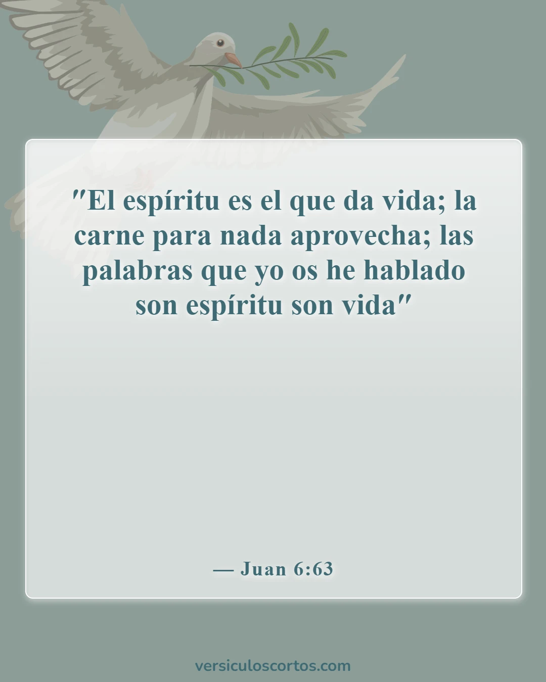 Versículos bíblicos sobre el alimento espiritual (Juan 6:63)