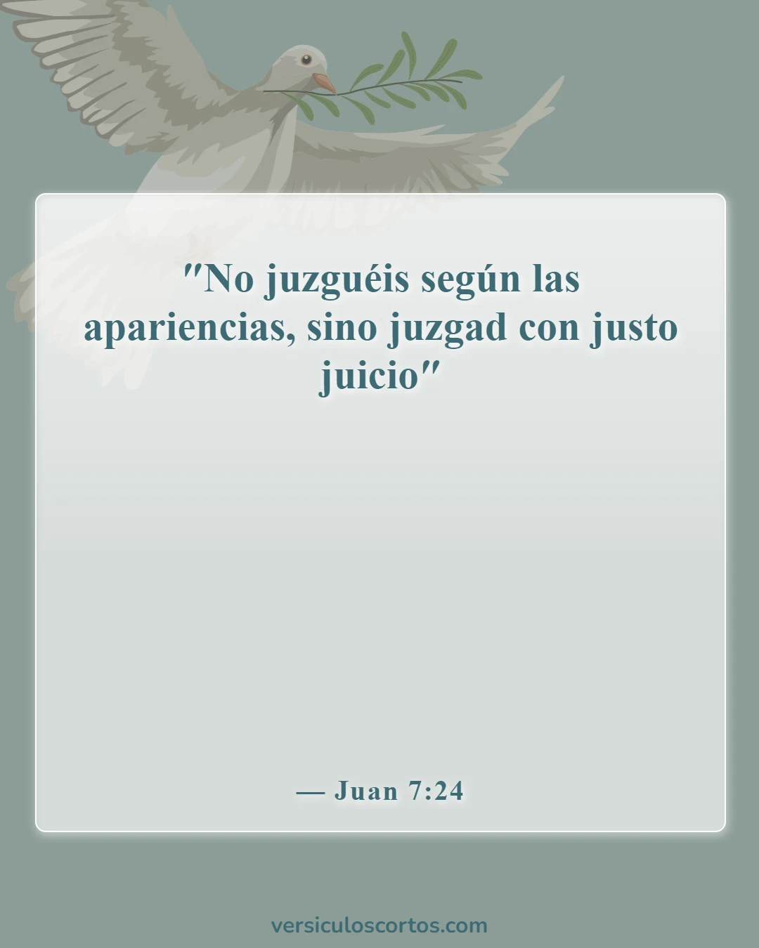 Versículos de la Biblia sobre personas críticas (Juan 7:24)