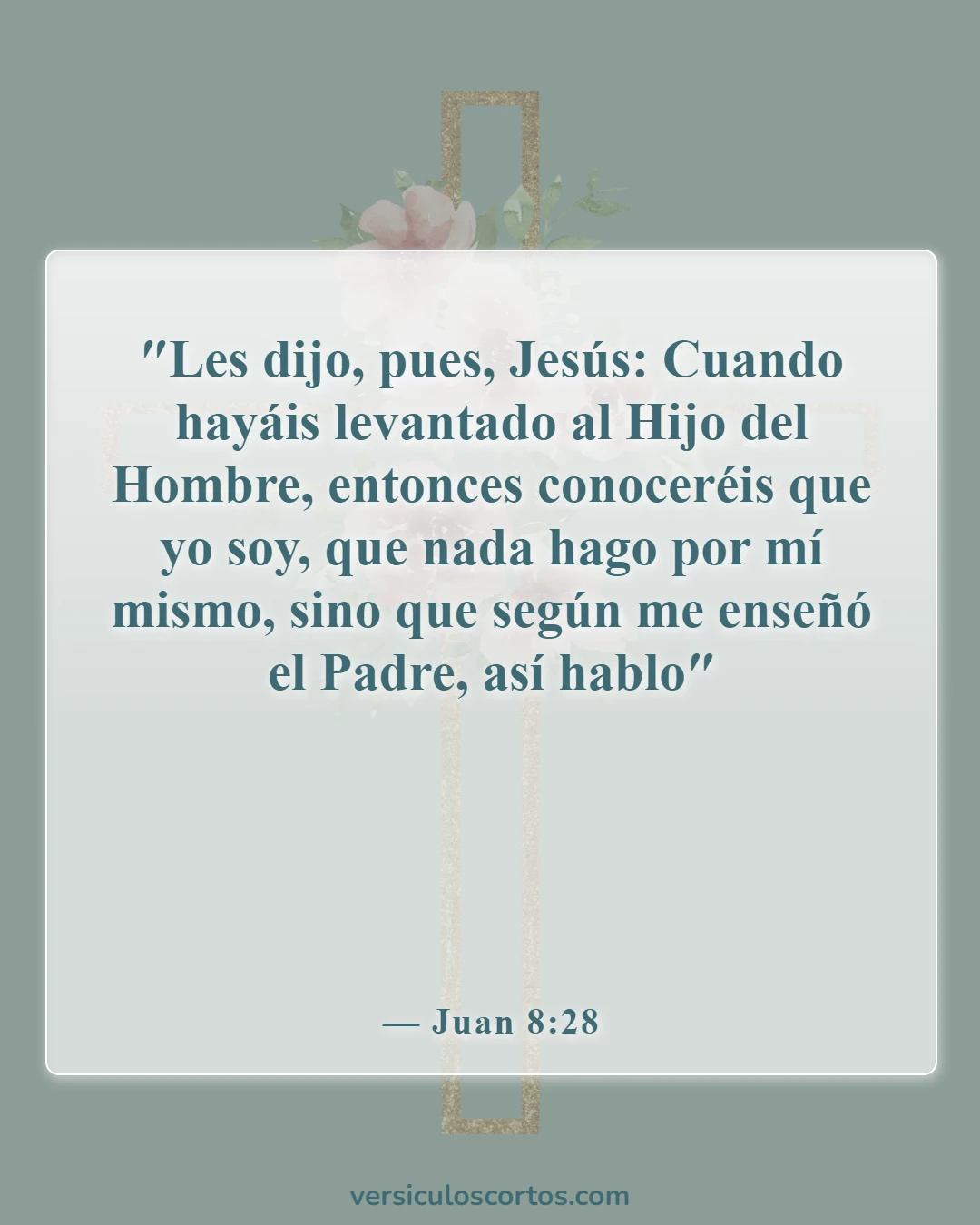 Versículos de la Biblia sobre Jesús como imagen de Dios (Juan 8:28)