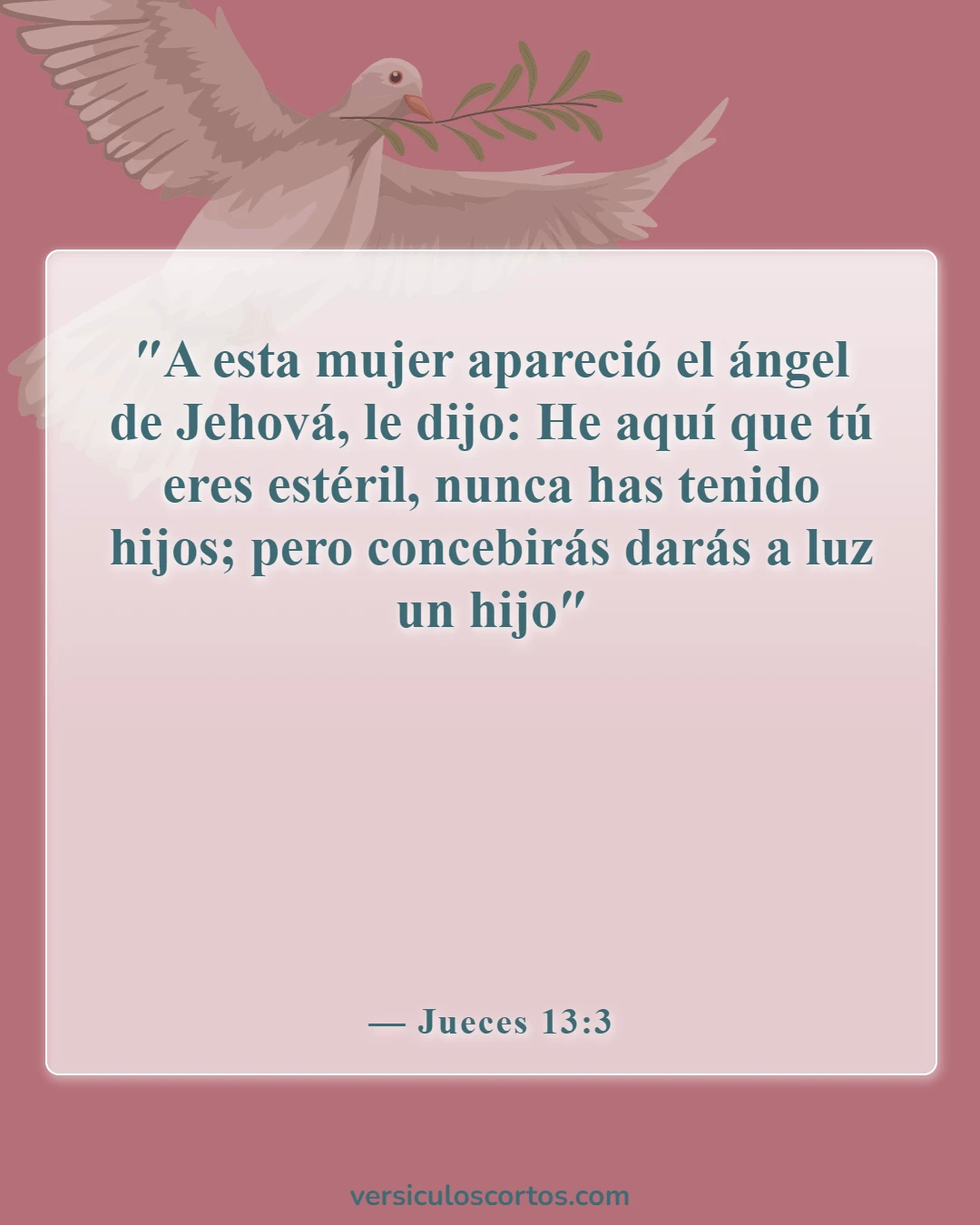 Versículos de la Biblia sobre mujeres estériles (Jueces 13:3)