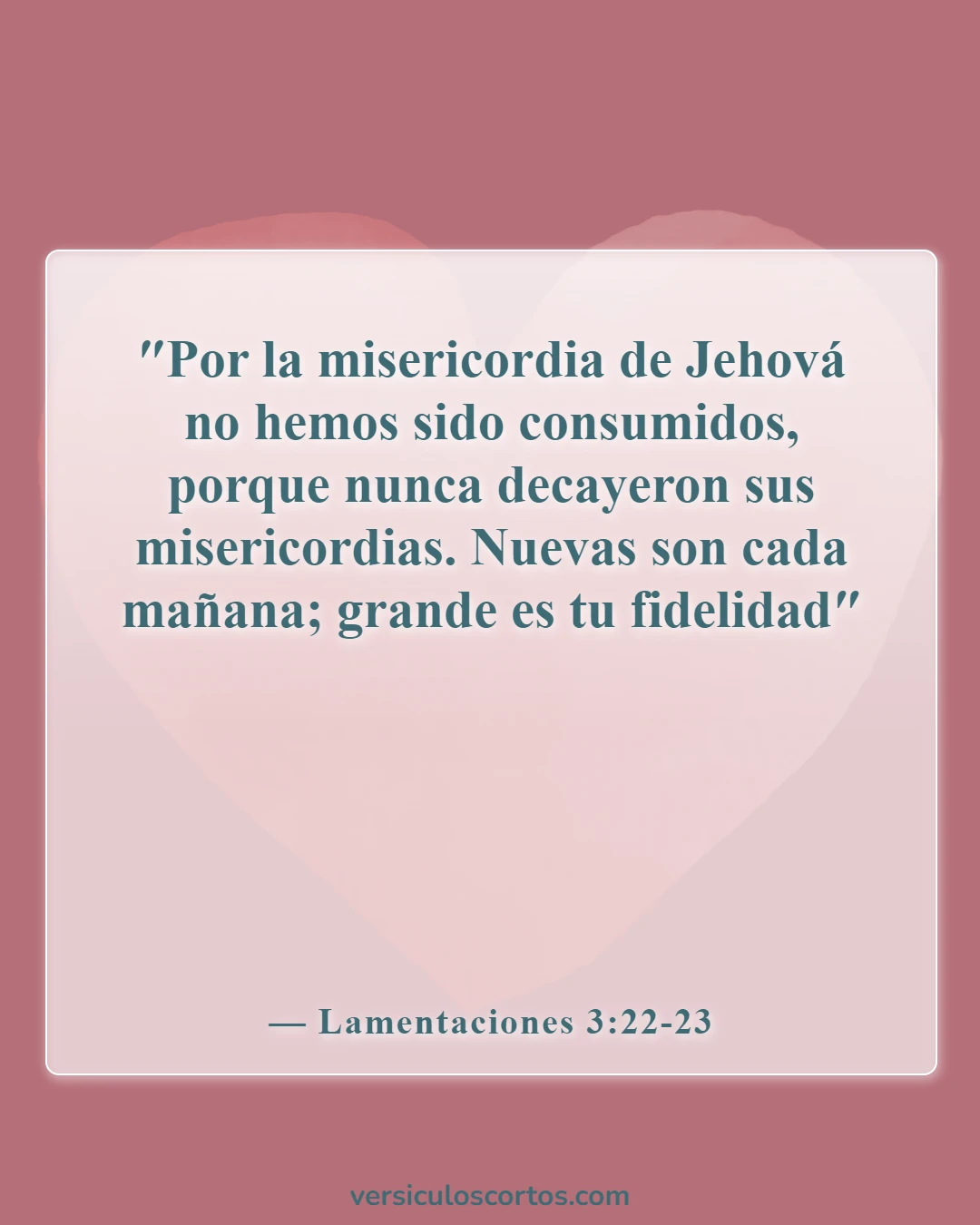 Versículos de la Biblia sobre la Apreciación de la Vida (Lamentaciones 3:22-23)