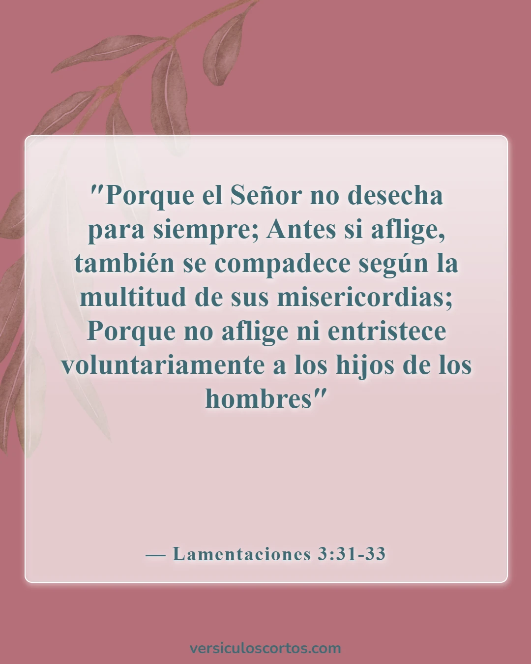 Versículos de la Biblia sobre la pérdida de un amigo (Lamentaciones 3:31-33)