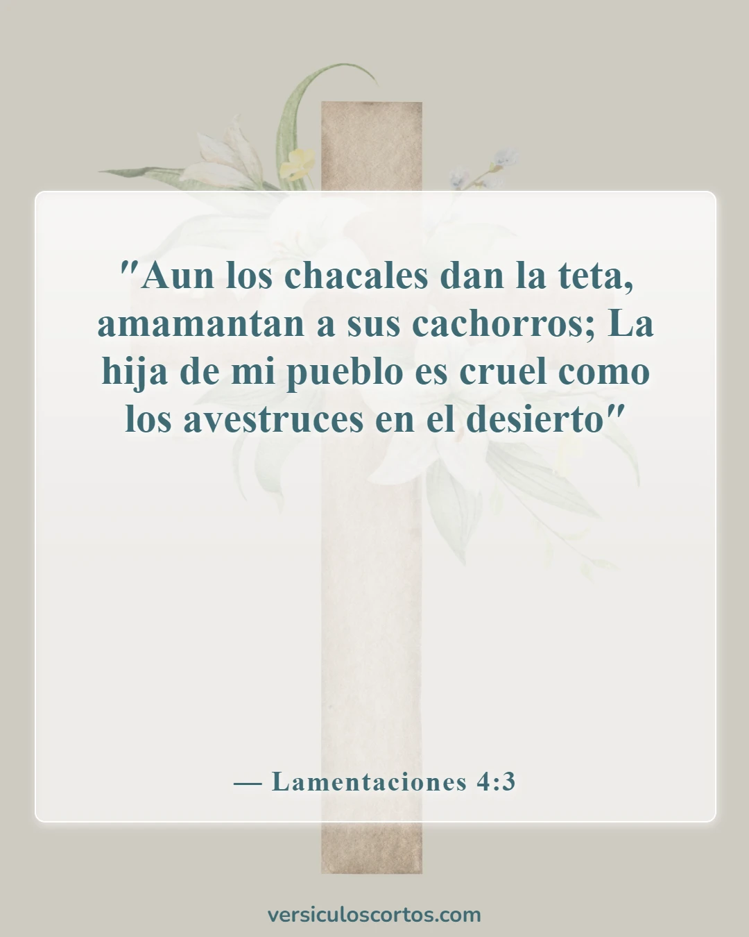 Versículos de la Biblia sobre los malos padres (Lamentaciones 4:3)