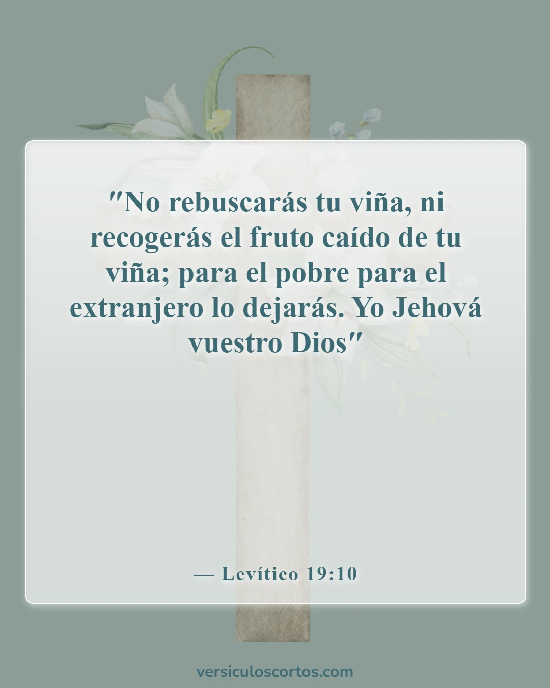 Versículos de la Biblia sobre ayudar a los necesitados (Levítico 19:10)