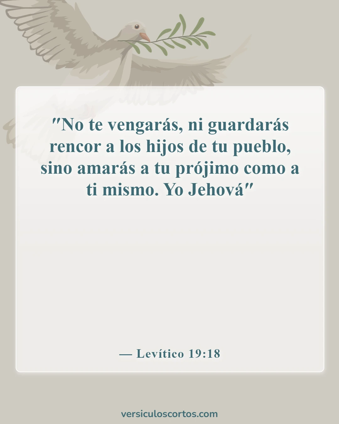 Versículos de la Biblia sobre perdonar a tus enemigos (Levítico 19:18)