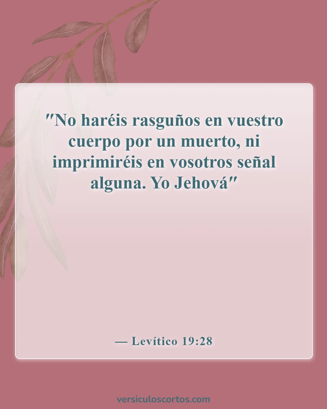 Versículos de la Biblia sobre amar tu cuerpo (Levítico 19:28)