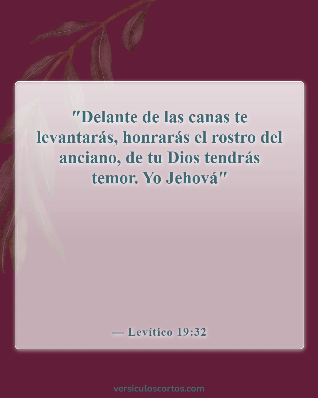 Versículos de la Biblia sobre el cuidado de los padres ancianos (Levítico 19:32)