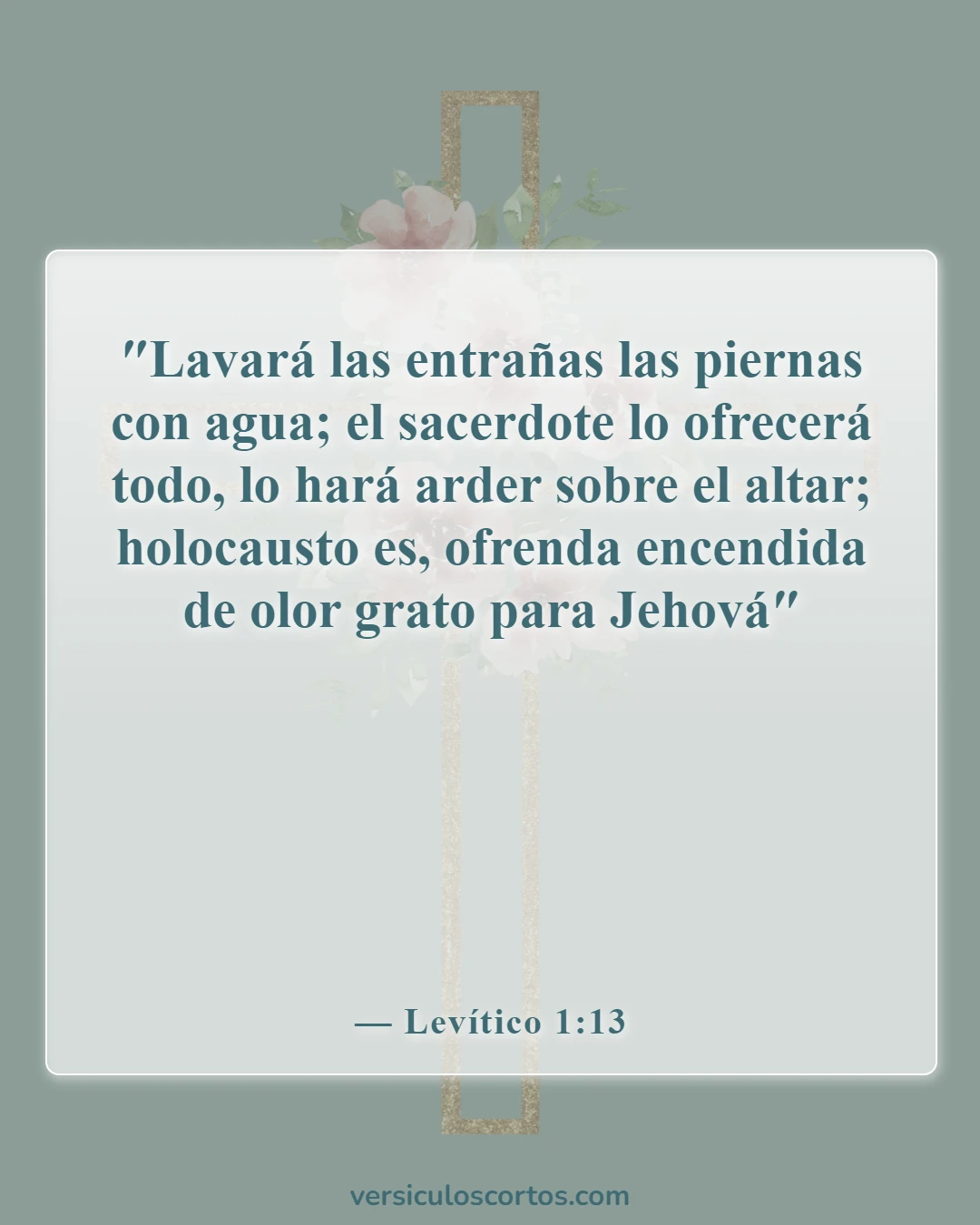 Versículos de la Biblia sobre sacrificios (Levítico 1:13)