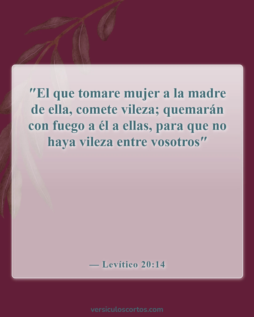 Versículos bíblicos sobre el divorcio y el adulterio (Levítico 20:14)