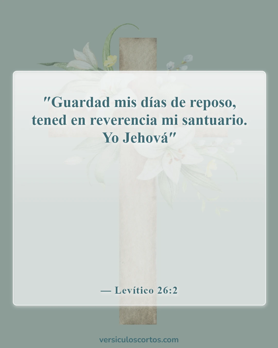 Versículos de la Biblia sobre el día de reposo (Levítico 26:2)