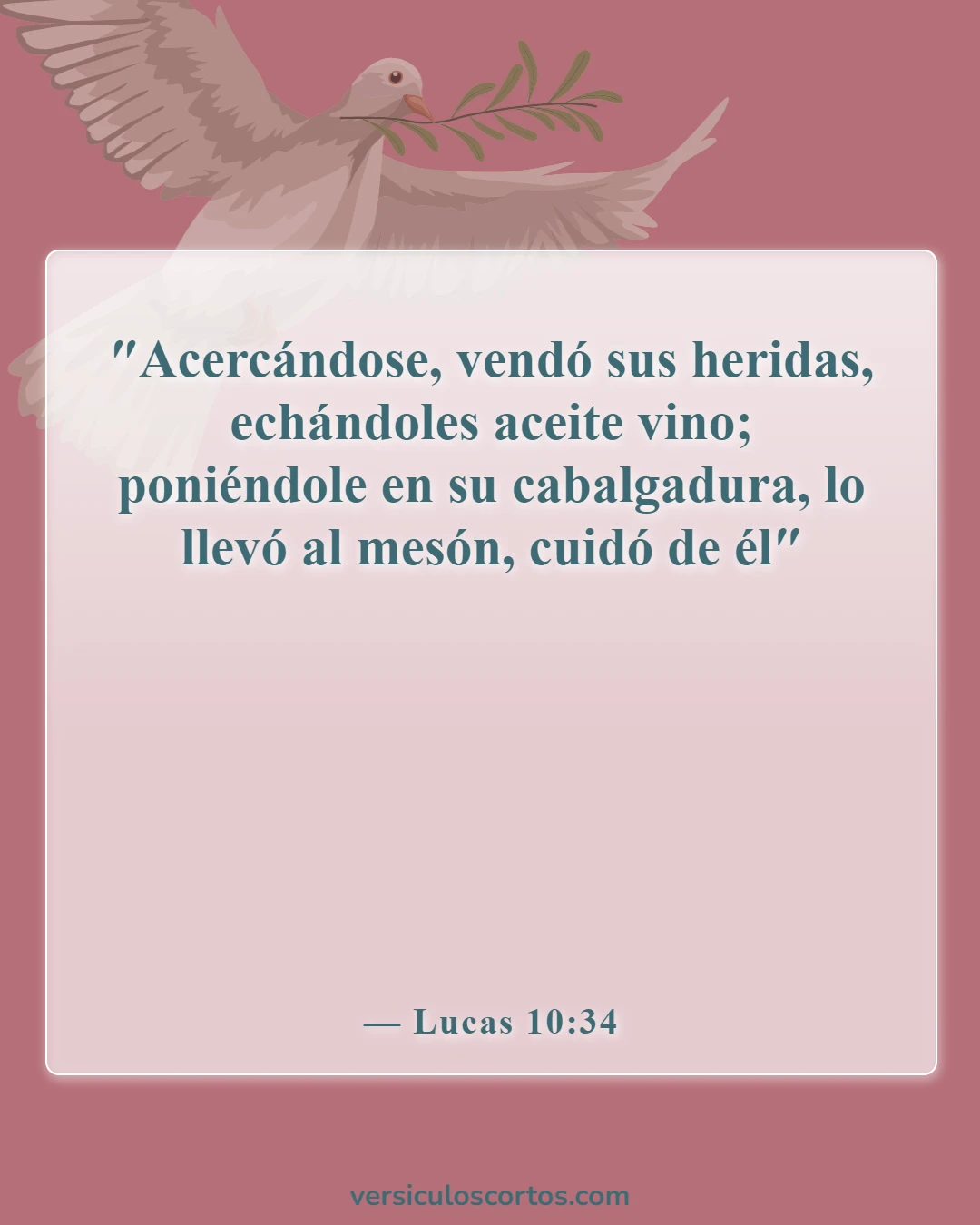 Versículos bíblicos sobre el cuidado de los enfermos (Lucas 10:34)