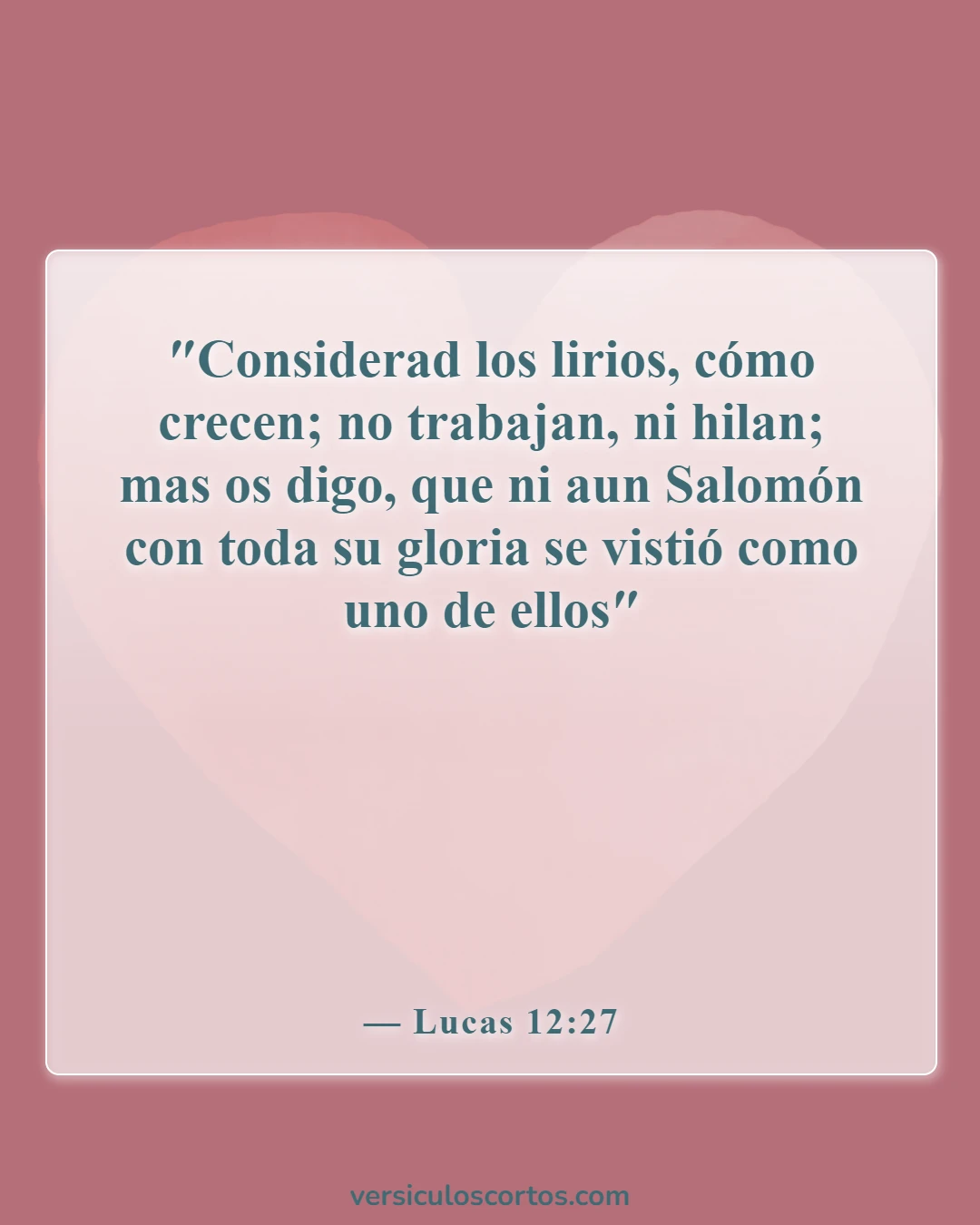 Versículos de la Biblia sobre el maquillaje (Lucas 12:27)
