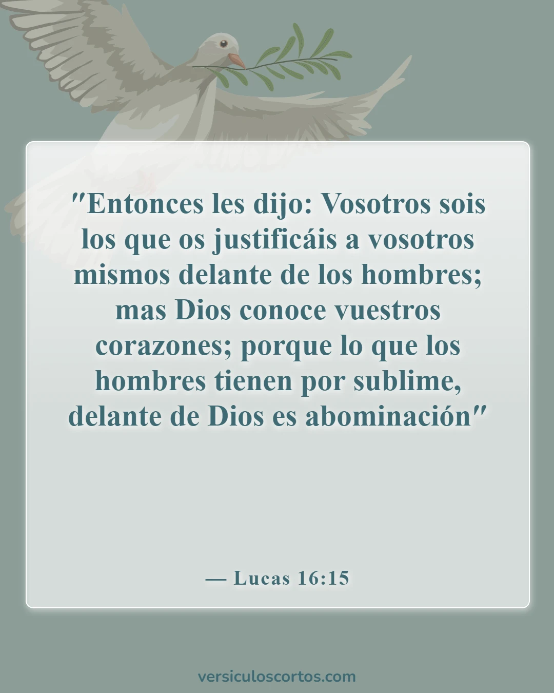 Versículos de la Biblia sobre juzgar por las apariencias (Lucas 16:15)