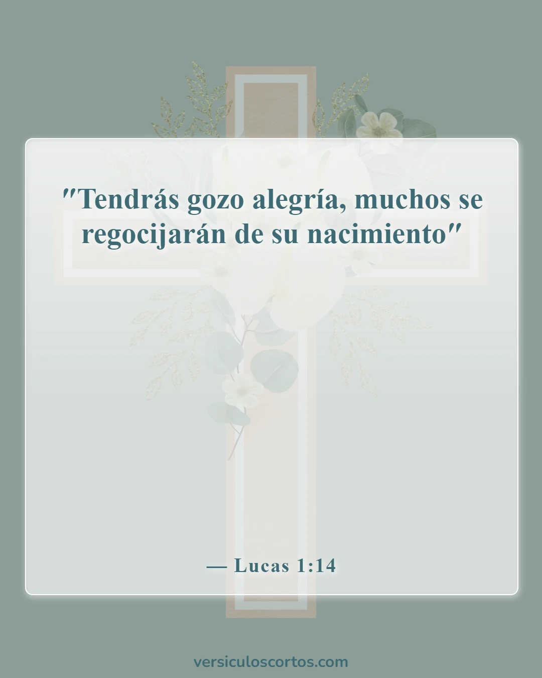 Versículos de la Biblia sobre la celebración de la Navidad (Lucas 1:14)