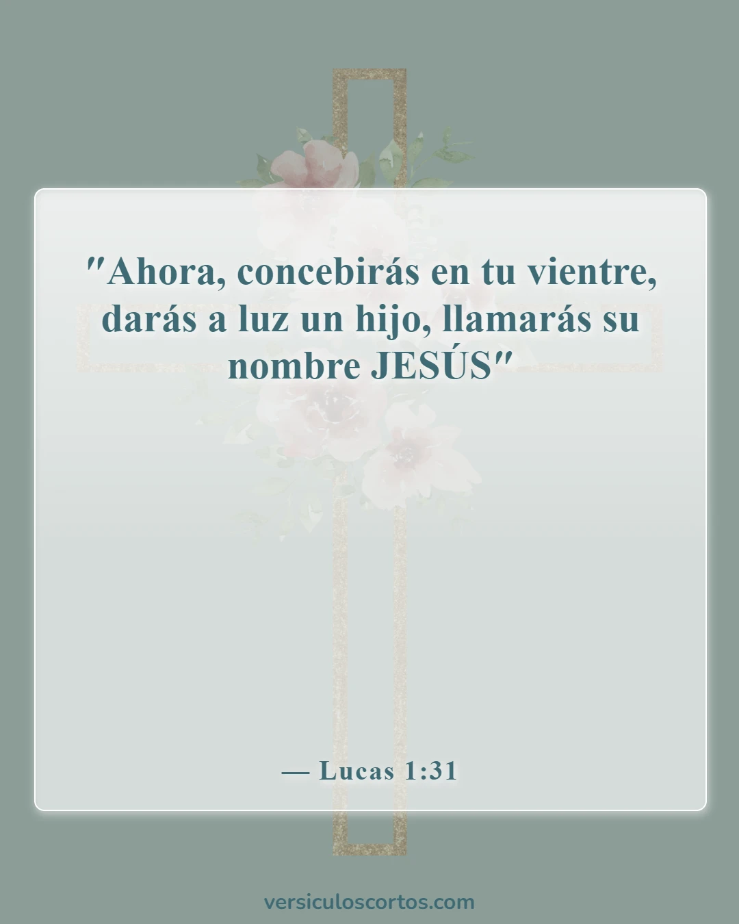 Versículos bíblicos sobre el nacimiento de Jesús (Lucas 1:31)