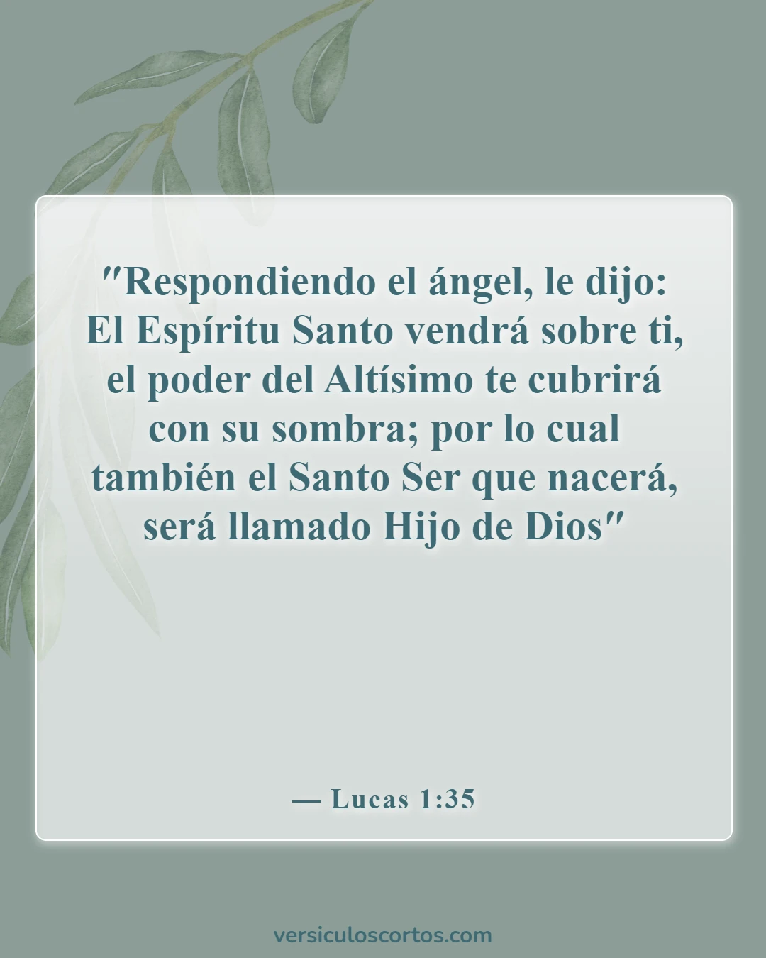 Versículos de la Biblia sobre la celebración de la Navidad (Lucas 1:35)