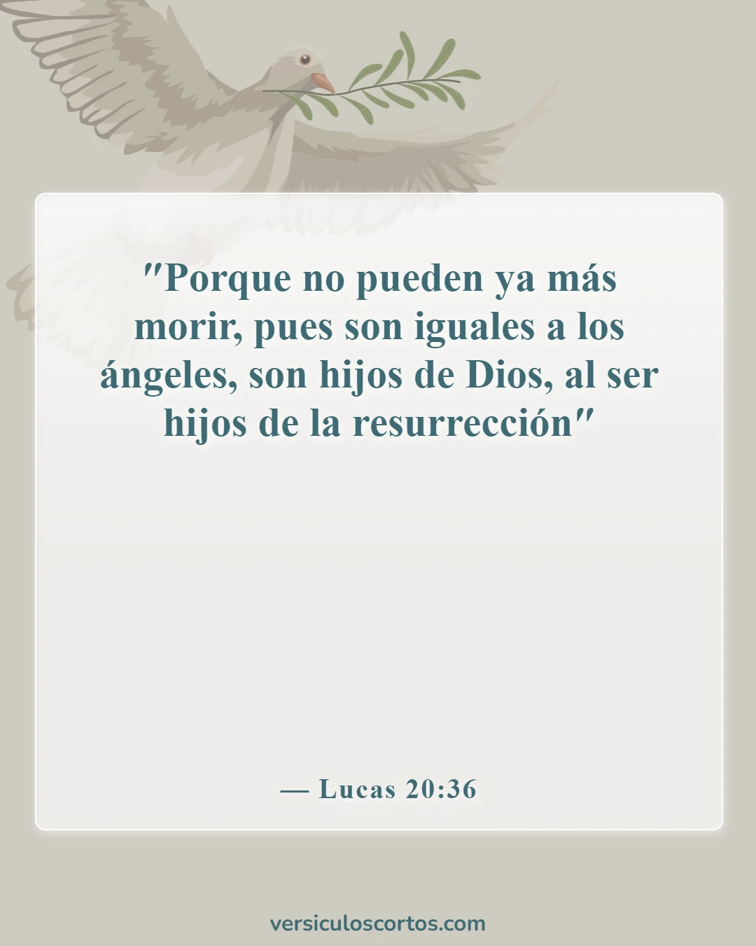 Versículos de la Biblia sobre los saduceos (Lucas 20:36)