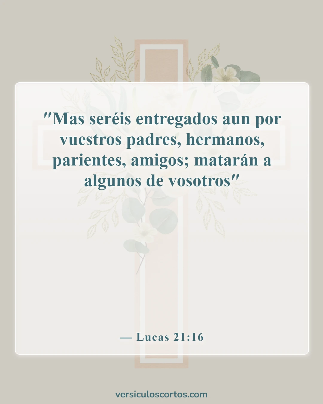 Versículos de la Biblia sobre las personas que se vuelven en tu contra (Lucas 21:16)
