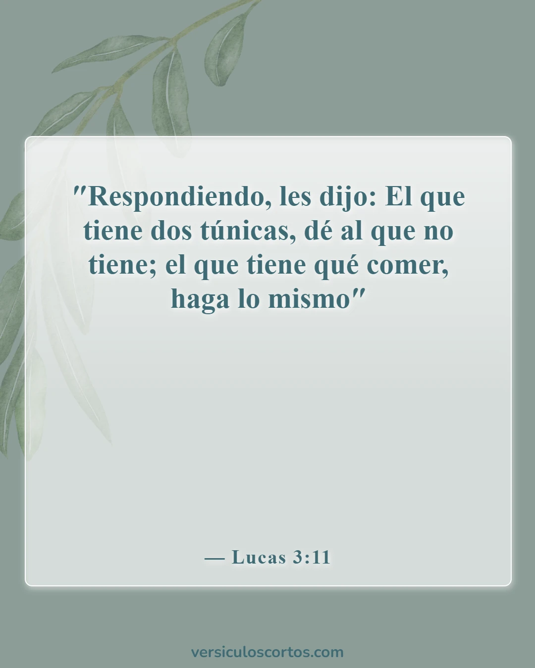 Versículos de la Biblia sobre la compasión hacia los demás (Lucas 3:11)