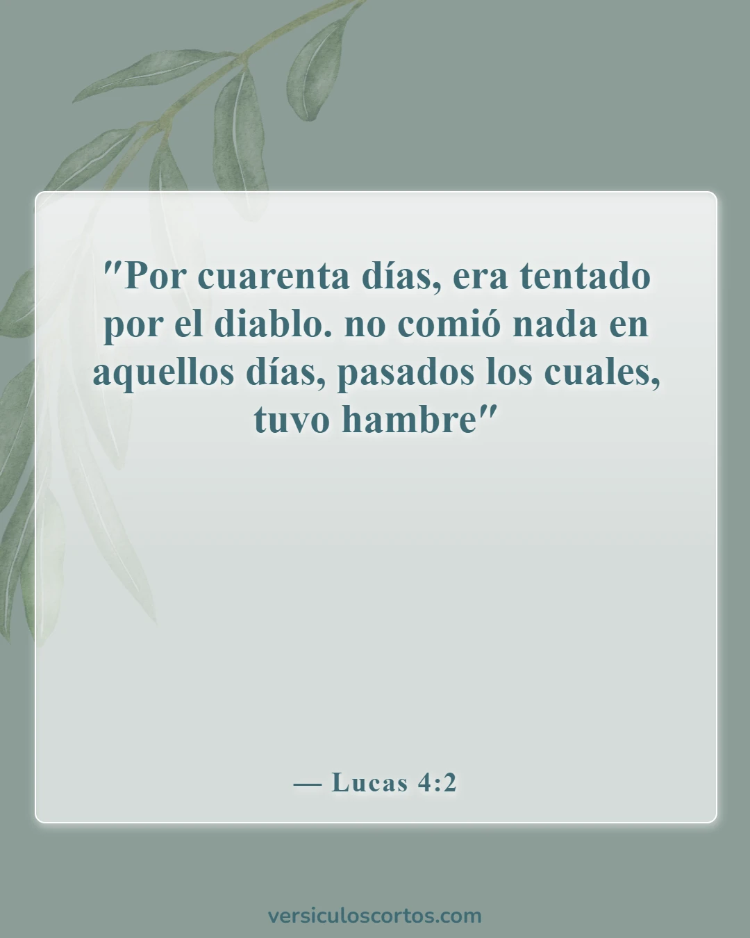 Versículos de la Biblia sobre la oración y el ayuno (Lucas 4:2)