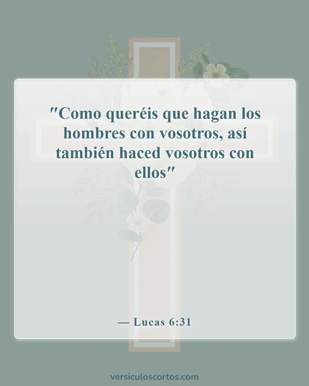 Versículos de la Biblia sobre la compasión hacia los demás (Lucas 6:31)