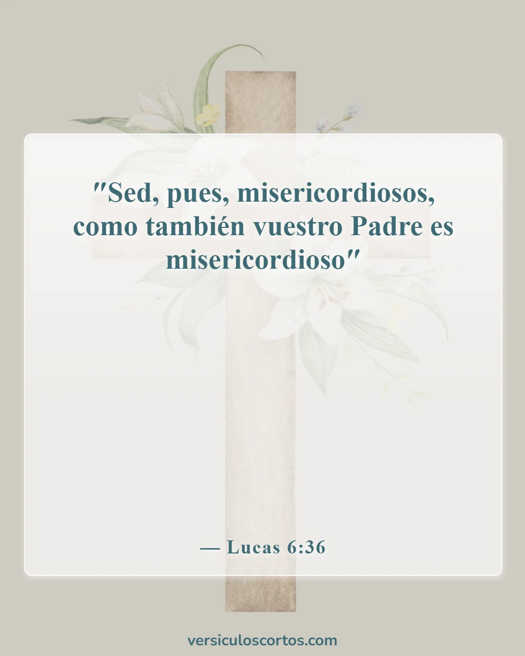 Versículos de la Biblia sobre la compasión hacia los demás (Lucas 6:36)