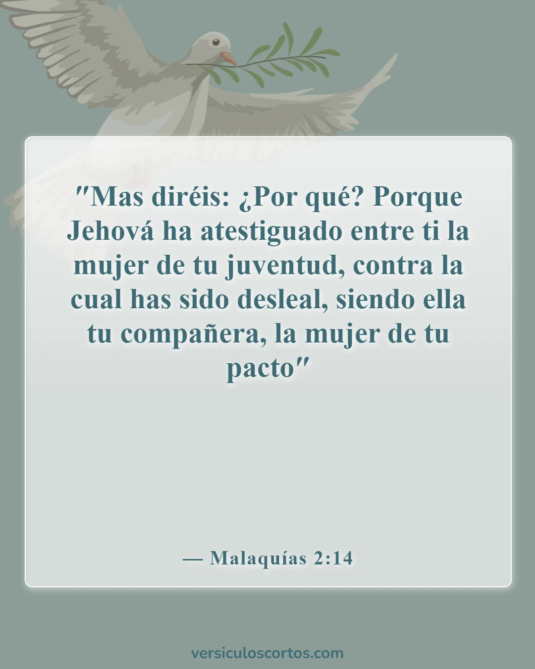 Versículos de la Biblia sobre cometer adulterio (Malaquías 2:14)